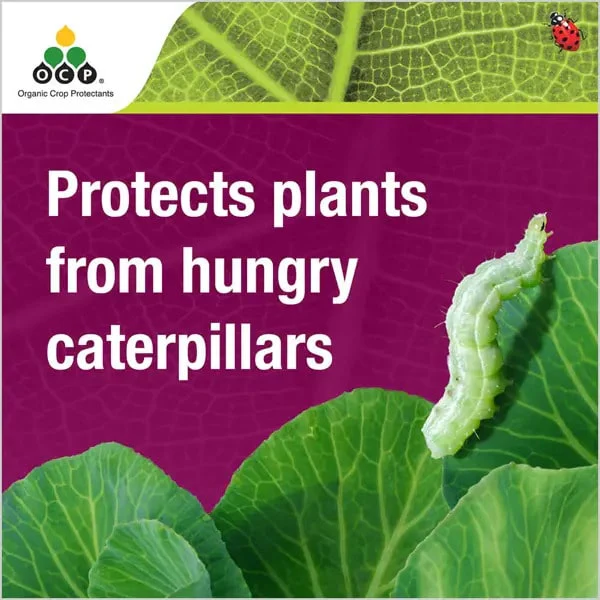 OCP Eco-caterpillar Killer DiPel | Organic Insecticide - Image 2