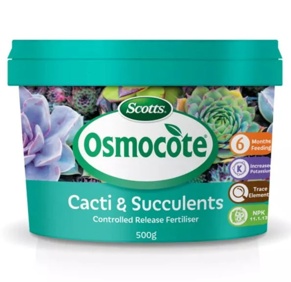 Osmocote Cacti & Succulents Fertiliser 500g | Controlled Release