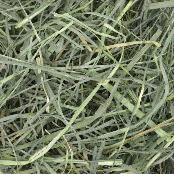 Oxbow Orchard Grass Hay - Image 4