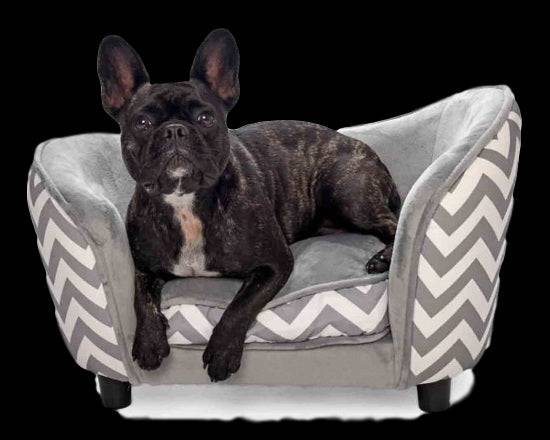 PetObsessed  Luxury Lounge Dog Sofa (Zebra Pattern) - Image 4