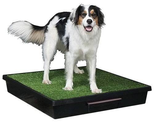 PetSafe Pet Loo Portable Pet Toilet LARGE