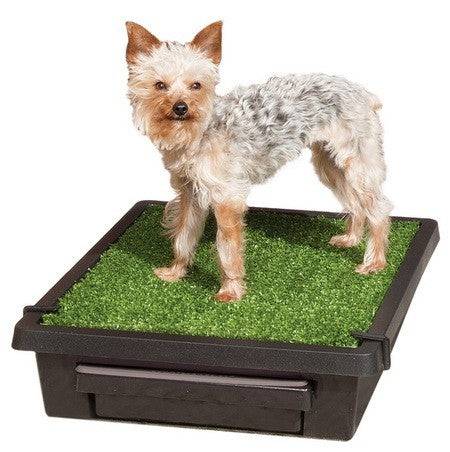 PetSafe Pet Loo Portable Pet Toilet SMALL