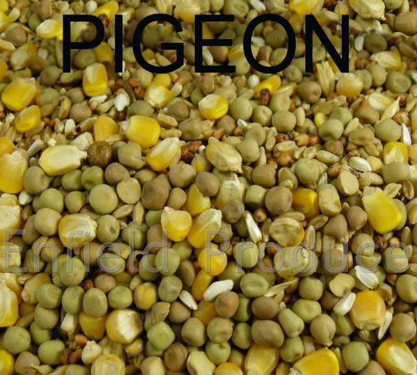 Avigrain Pigeon Mix - Image 2