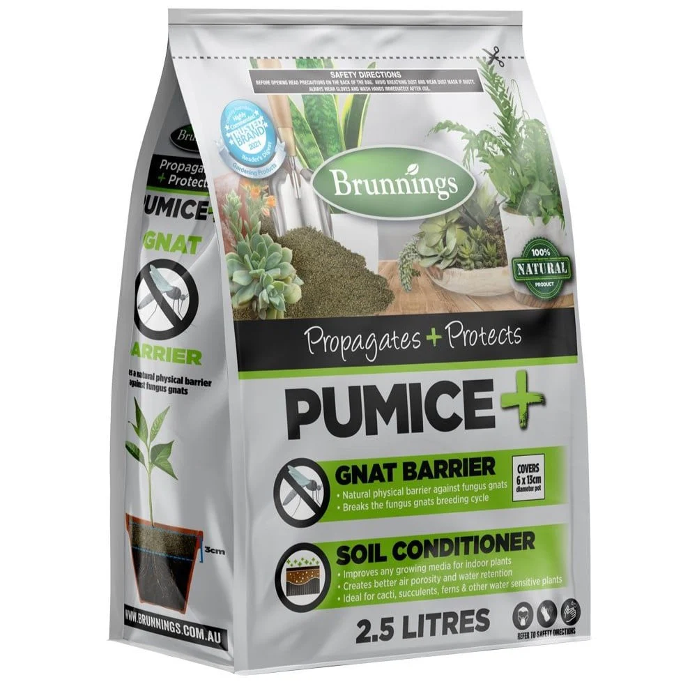 Pumice+ 2.5L | Brunnings