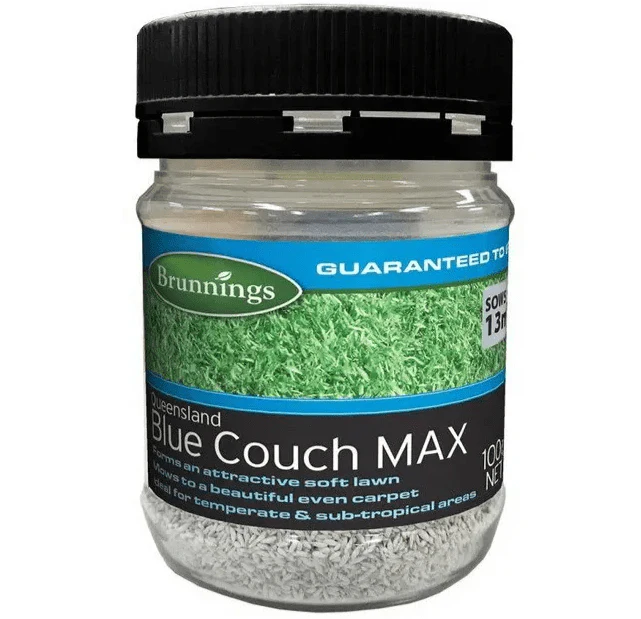 QLD Blue Couch MAX Lawn Seed 100g | Brunnings