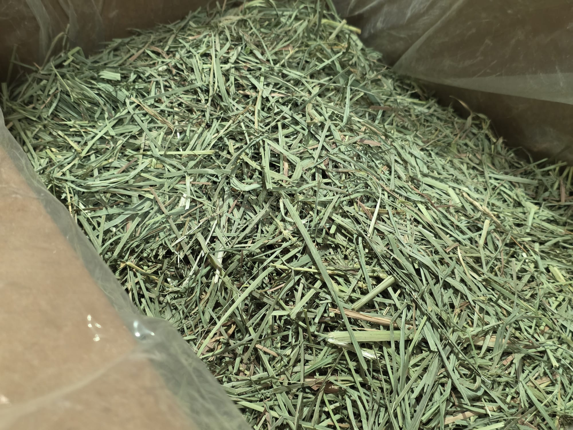 Rabbit Hole Orchard Grass COARSE - Image 2