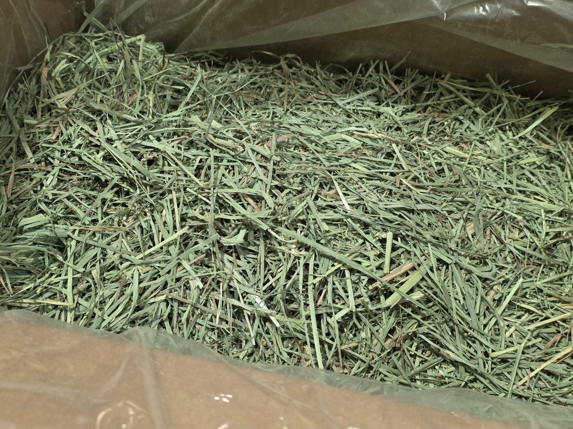 Rabbit Hole Orchard Grass COARSE - Image 5