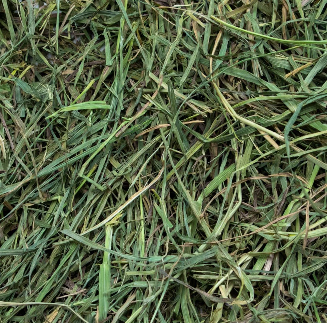 Rabbit Hole Timothy Hay SOFT - Image 4