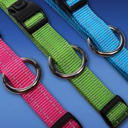 Rogz Side Release Dog Collar