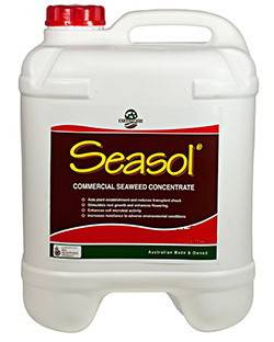 Seasol Commercial Strength 5 Litre