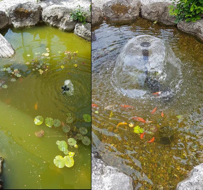 Splosht Large Fishpond (Water Feature Pack) - Image 2