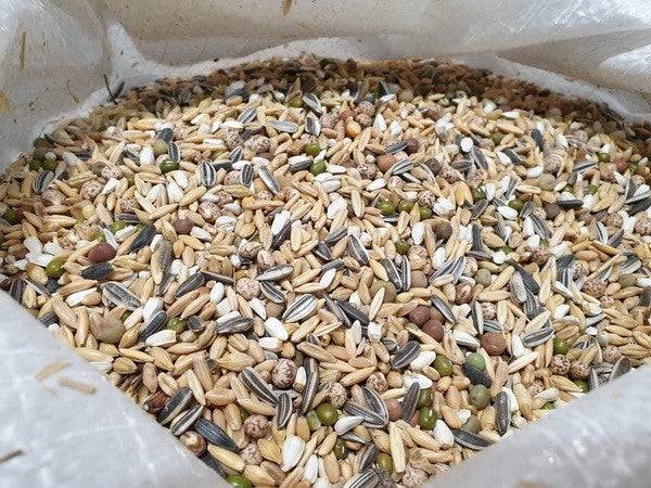 Sprouting Seed Mix for Birds (EP) - Image 2