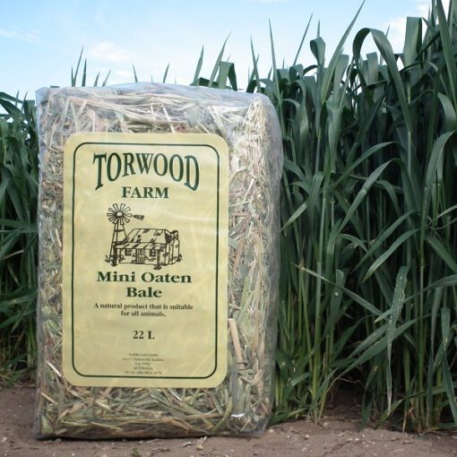 Torwood Farm Mini Oaten Hay Bale 22L - Image 2