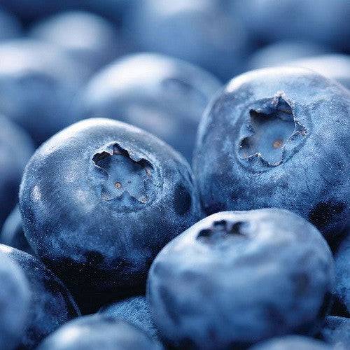 TPS Peat Blueberry Mix 50 Litre (PEAT-050-BLUE1) - Image 2
