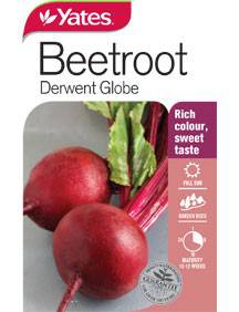 Yates Beetroot Seeds - Select Variety (All Year Round) - Image 4