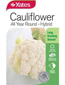 Yates Cauliflower Seeds - (All Year Round Hybrid)