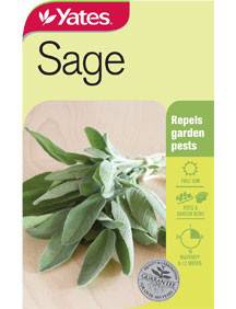 Yates Herb Seeds (All Year Round) - Image 13