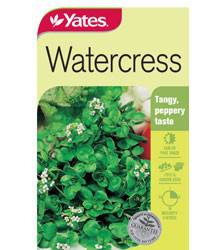 Yates Herb Seeds - Image 11