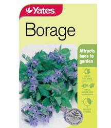 Yates Herb Seeds - Image 7
