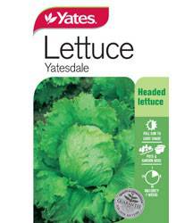 Yates Lettuce Seeds - Select Variety (Autumn Lines) - Image 10