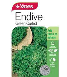 Yates Lettuce Seeds - Select Variety (Autumn Lines) - Image 11