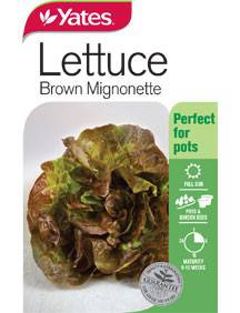 Yates Lettuce Seeds - Select Variety (Autumn Lines) - Image 3