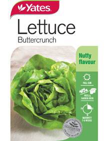 Yates Lettuce Seeds - Select Variety (Autumn Lines) - Image 4
