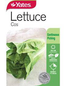 Yates Lettuce Seeds - Select Variety (Autumn Lines) - Image 5