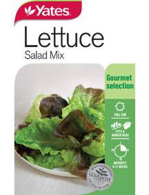 Yates Lettuce Seeds - Select Variety (Autumn Lines) - Image 8