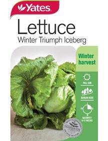 Yates Lettuce Seeds - Select Variety (Autumn Lines) - Image 9