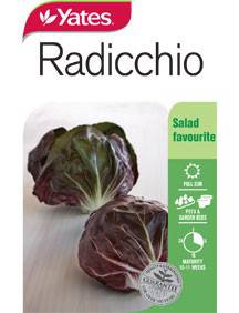 Yates Radicchio Seeds (All Year Round)
